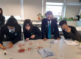 Ks3 science club photo 05