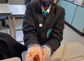 Science testing slime photo 05