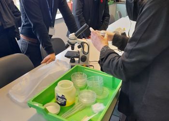 Year 10 Science - Daphnia Experiment