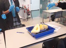 Science club making an elephant toothpaste 06