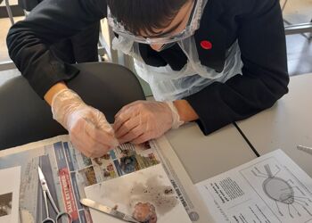 Year 10 Science Club - Eye Dissection