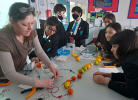 Ks3 electricity photo 05