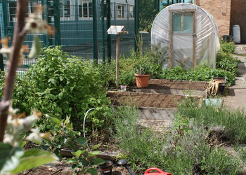 The Compton School Garden
