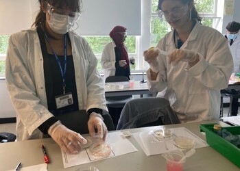Y12 A-Level Biology Required Practical
