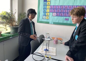 Year 8 Science Festival