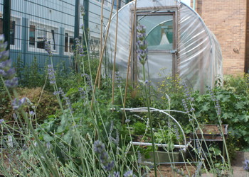 The Compton School Garden