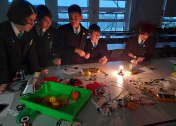 Science Club - Fruit Lights