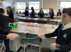 British science week photos 05