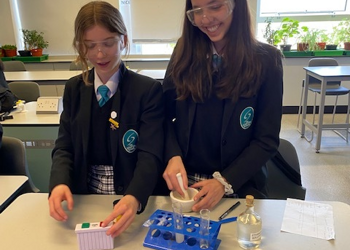 Science Club- Investigating Rate of Reactions