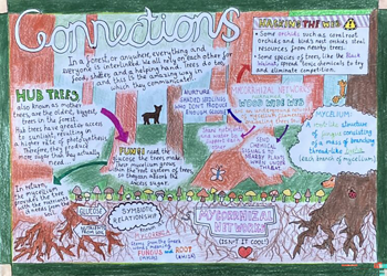 Jessica's Stellar Achievement - British Science Week Poster Competition Triumph