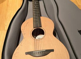 Ed sheeran guitar raffle photo 01