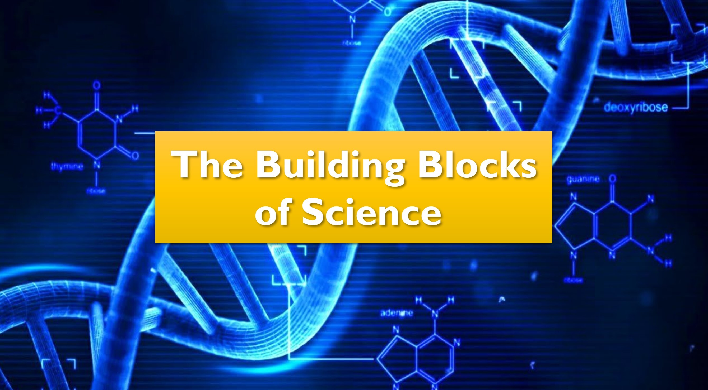 The building blocks of Science