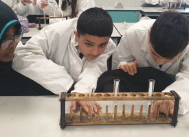 Year 7 science photo 01