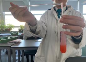 Science news dna extraction photo 02