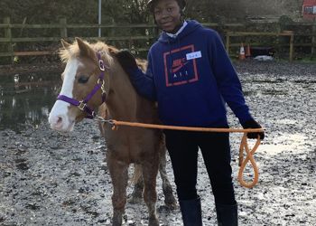Strength and Learning Through Horses
